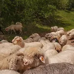 Alemiło - Uroczy Dom Z Balią I Widokiem Na Babią Górę