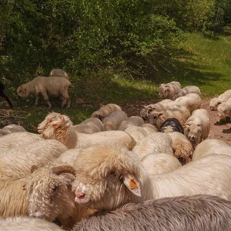 Alemilo - Uroczy Dom Z Balia I Widokiem Na Babia Gore