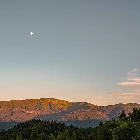 Alemilo - Uroczy Dom Z Balia I Widokiem Na Babia Gore Nyaraló *