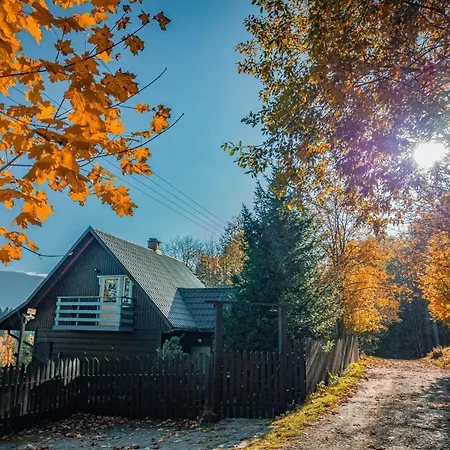 Hébergement de vacances Alemilo - Uroczy Dom Z Balia I Widokiem Na Babia Gore