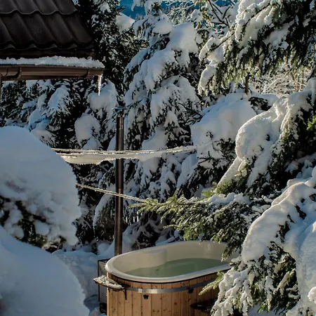 Hébergement de vacances Alemilo - Uroczy Dom Z Balia I Widokiem Na Babia Gore Zawoja
