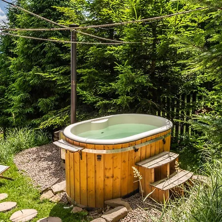 Hébergement de vacances Alemilo - Uroczy Dom Z Balia I Widokiem Na Babia Gore *
