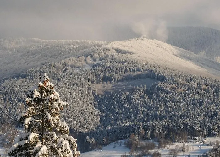 度假居 Alemilo - Uroczy Dom Z Balia I Widokiem Na Babia Gore *