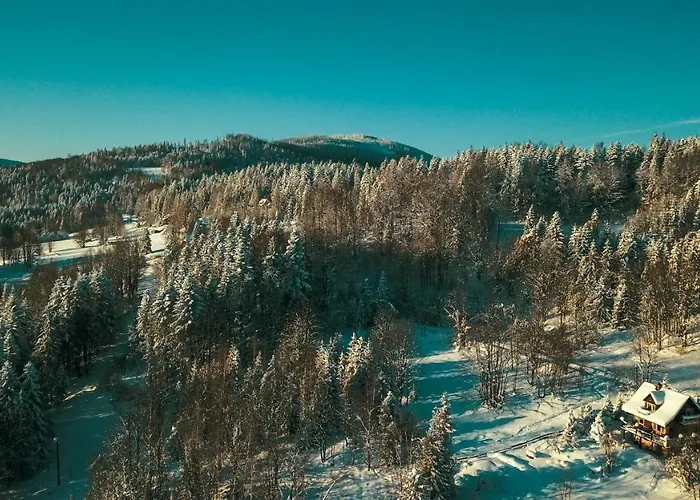 Alemilo - Uroczy Dom Z Balia I Widokiem Na Babia Gore * 扎沃亚