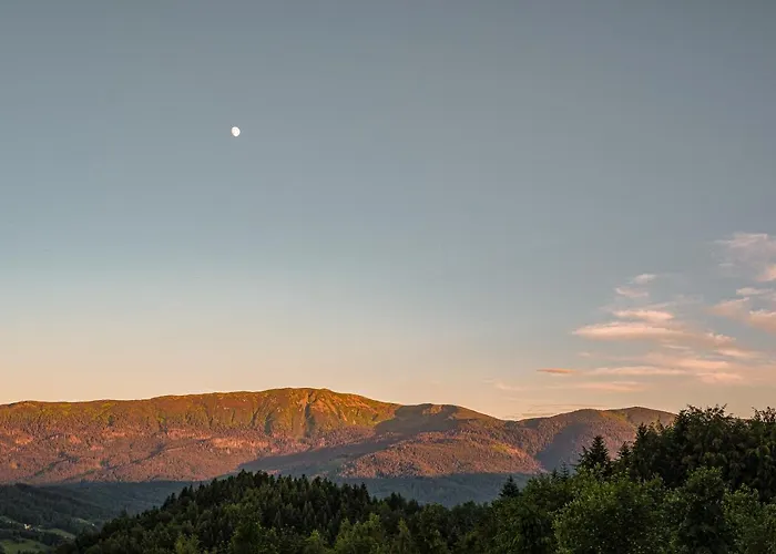 Alemilo - Uroczy Dom Z Balia I Widokiem Na Babia Gore 度假居 *