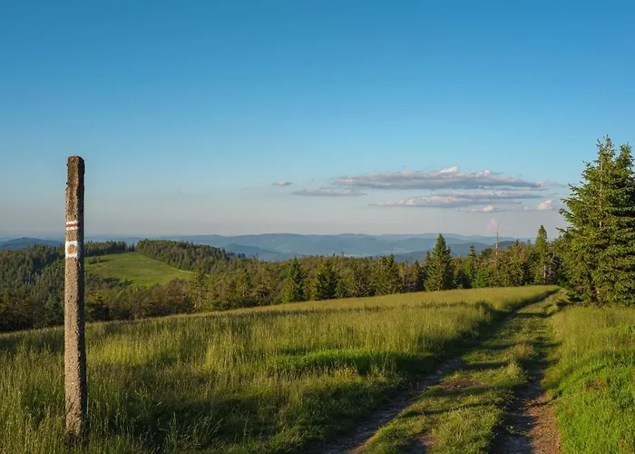 Alemilo - Uroczy Dom Z Balia I Widokiem Na Babia Gore 度假居 扎沃亚