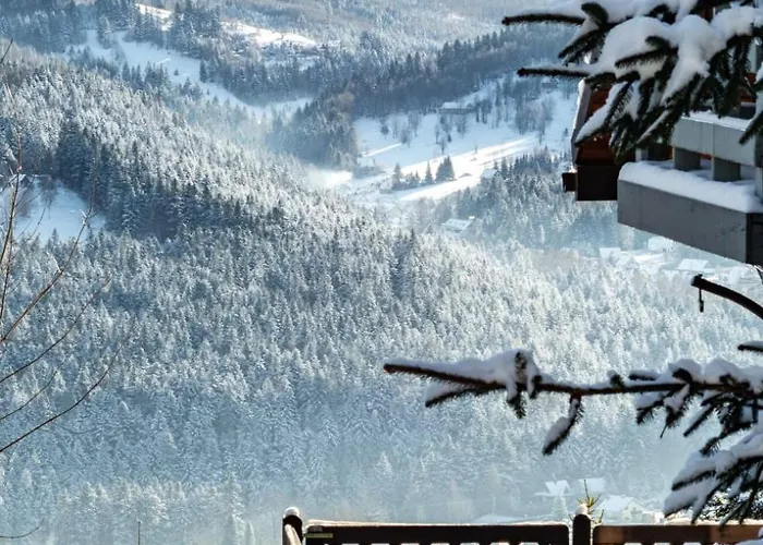 度假居 Alemilo - Uroczy Dom Z Balia I Widokiem Na Babia Gore 扎沃亚