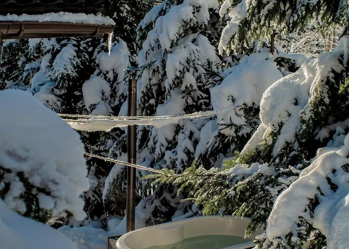 度假居 Alemilo - Uroczy Dom Z Balia I Widokiem Na Babia Gore 扎沃亚